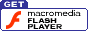 Click to Download Flash Plug-In